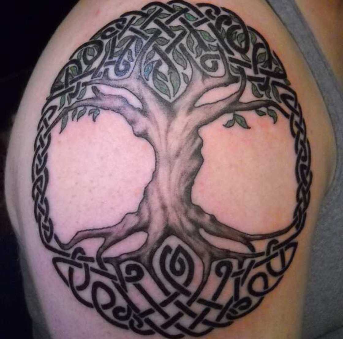 tree of life tattoo ideas tree of life tattoo ideas