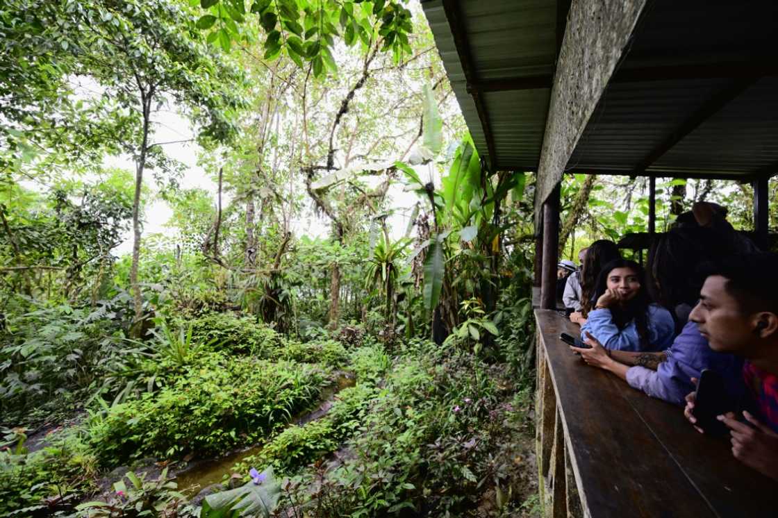 Tourists watch birds in a private reserve in Mindo, Ecuador on August 16, 2024