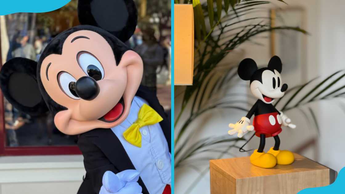 Mickey Mouse Mickey Mouse