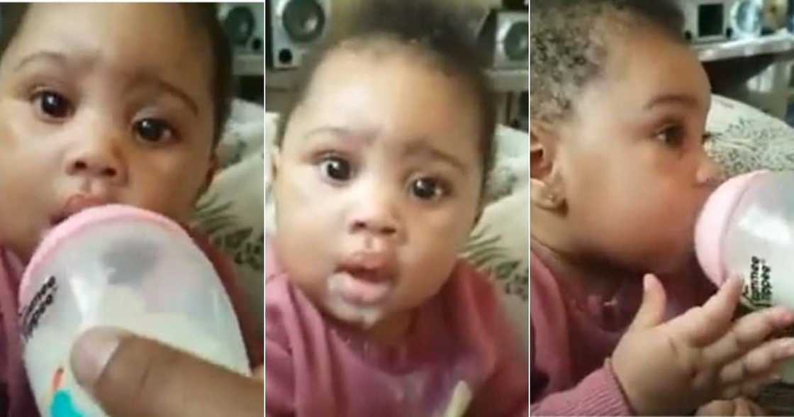Adorable, Video, Clip, Cute Baby, Steals, Mzansi Adorable, Video, Clip, Cute Baby, Steals, Mzansi