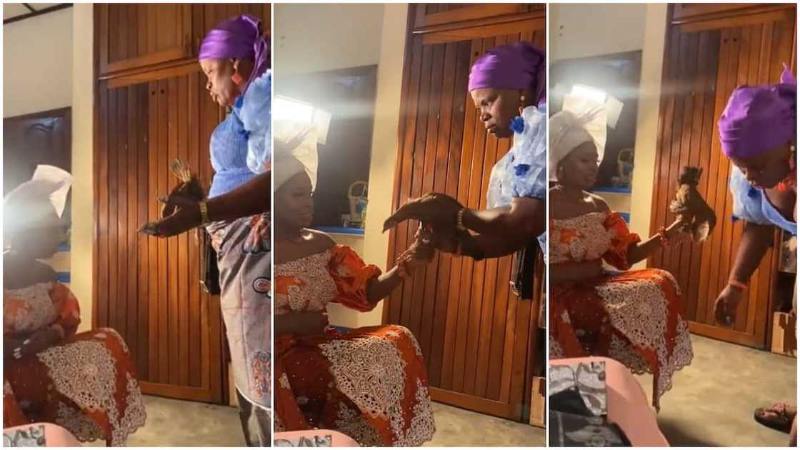 Many people said they would be scared too. Many people said they would be scared too.