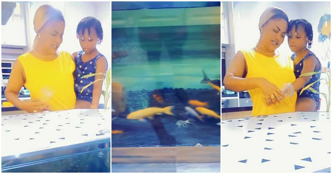 Nana Ama McBrown and her daughter Baby Maxin feed fishes Nana Ama McBrown and her daughter Baby Maxin feed fishes