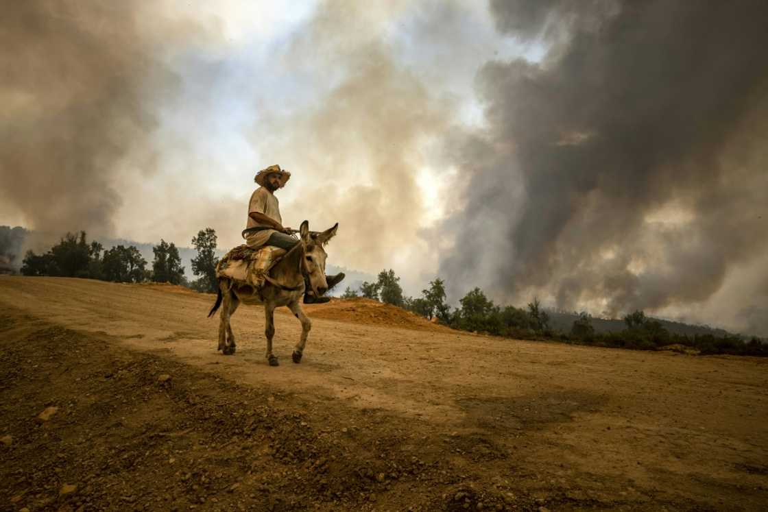 A villager rides a donkey as a cloud of smoke from a forest fire rises near Ksar el-Kebir in the Larache region, on July 15, 2022 A villager rides a donkey as a cloud of smoke from a forest fire rises near Ksar el-Kebir in the Larache region, on July 15, 2022
