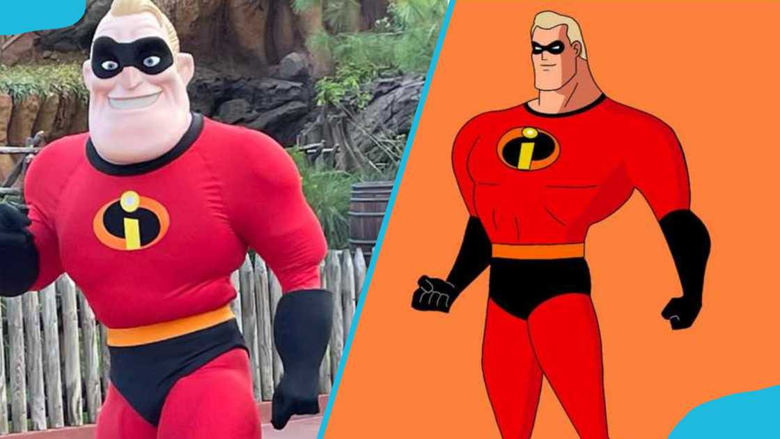 Mr. Incredible Mr. Incredible