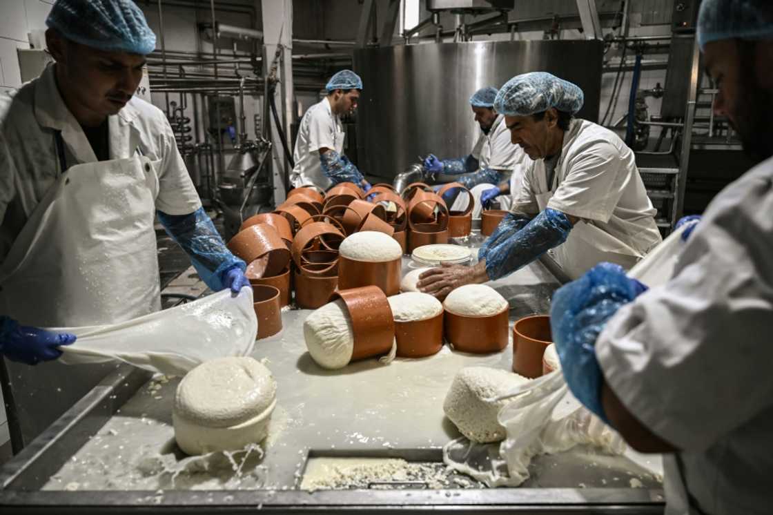Naxos graviera cheese has the European Protected Designation of Origin label and exports to a dozen countries Naxos graviera cheese has the European Protected Designation of Origin label and exports to a dozen countries