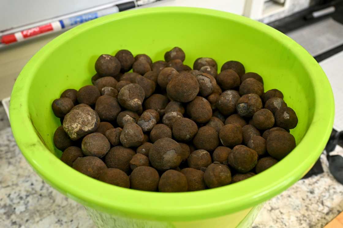 Cook Islands has one of the world's biggest deposits of polymetallic nodules, golf-ball sized lumps studded with metals such as cobalt, nickel and manganese found on the deep ocean floor Cook Islands has one of the world's biggest deposits of polymetallic nodules, golf-ball sized lumps studded with metals such as cobalt, nickel and manganese found on the deep ocean floor