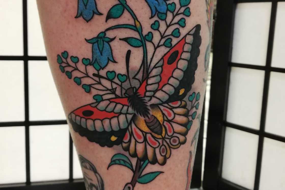 Beautiful butterfly and bluebell tattoo Beautiful butterfly and bluebell tattoo
