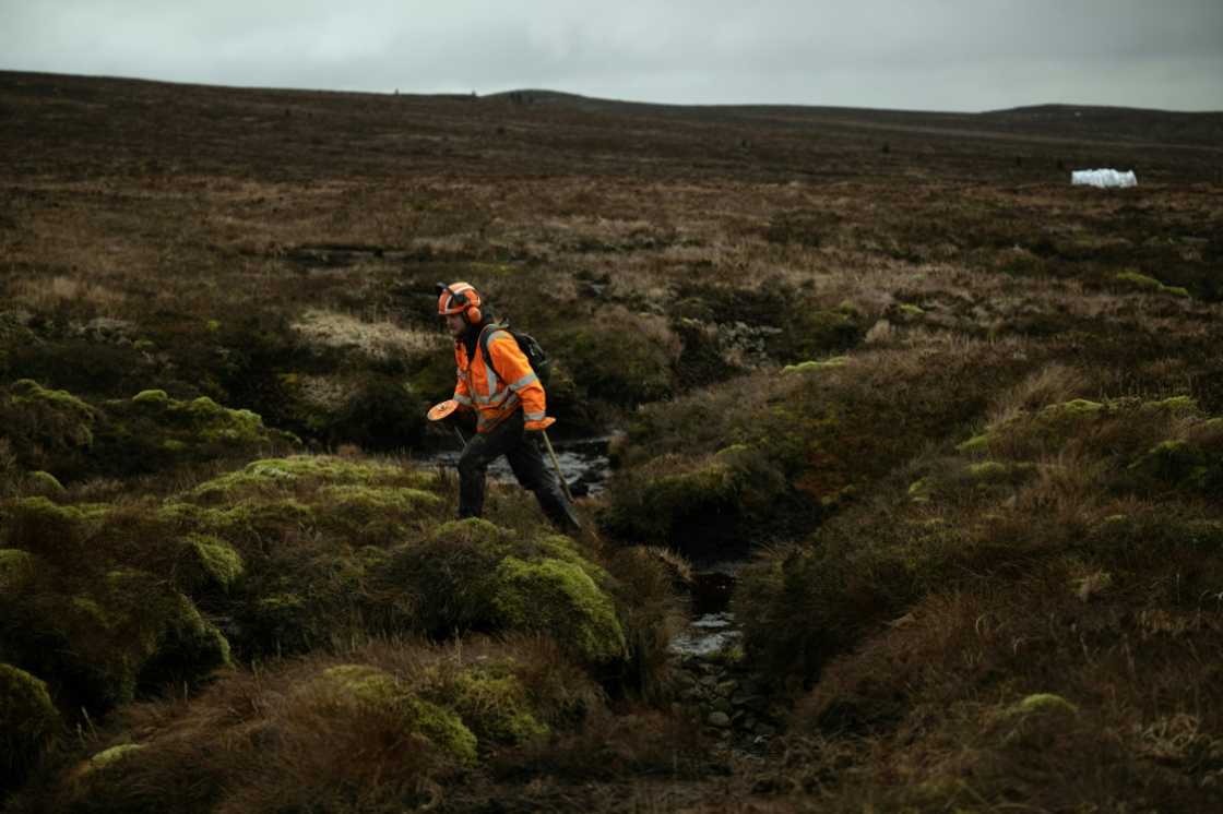 Using transplanted heather, workers undertake the gruelling task wherever gaps exist on the vast terrain Using transplanted heather, workers undertake the gruelling task wherever gaps exist on the vast terrain
