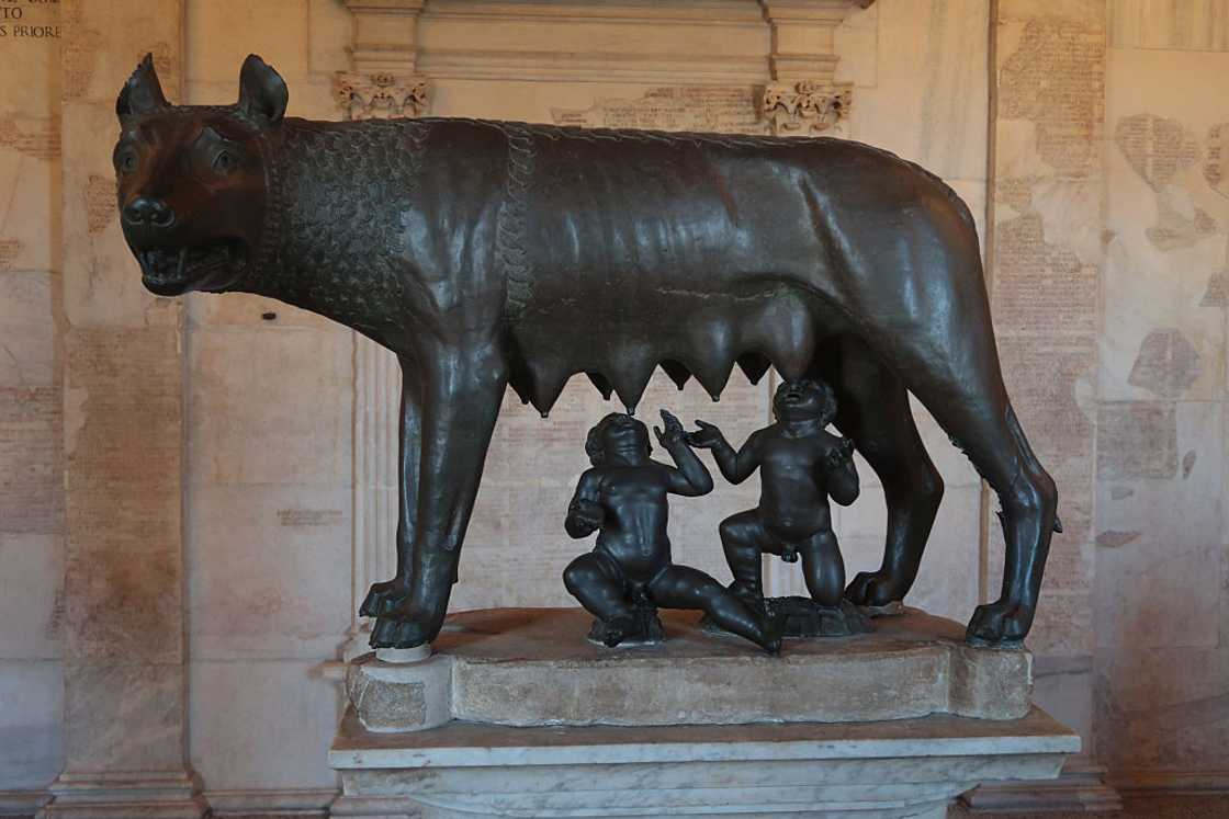 The sculpture of Romulus and Remus suckling at a she-wolf. The sculpture of Romulus and Remus suckling at a she-wolf.