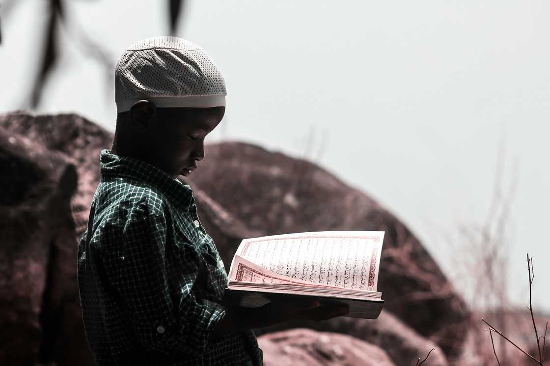 A little Muslim boy reading the Quran A little Muslim boy reading the Quran