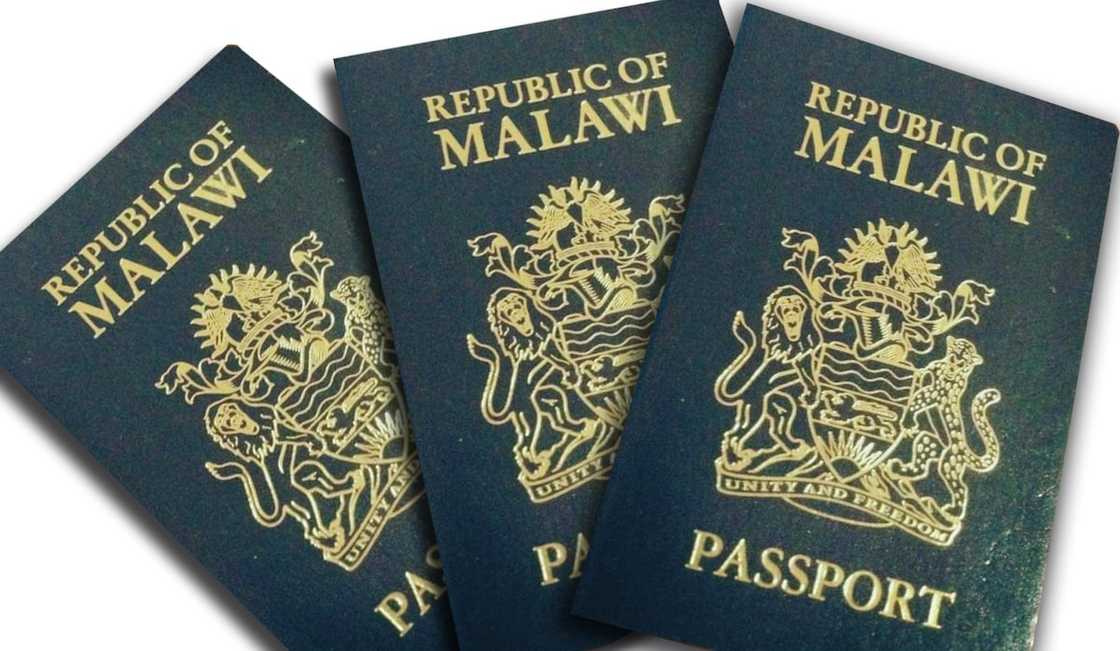 Here are the 7 most powerful passports in Africa right now Here are the 7 most powerful passports in Africa right now
