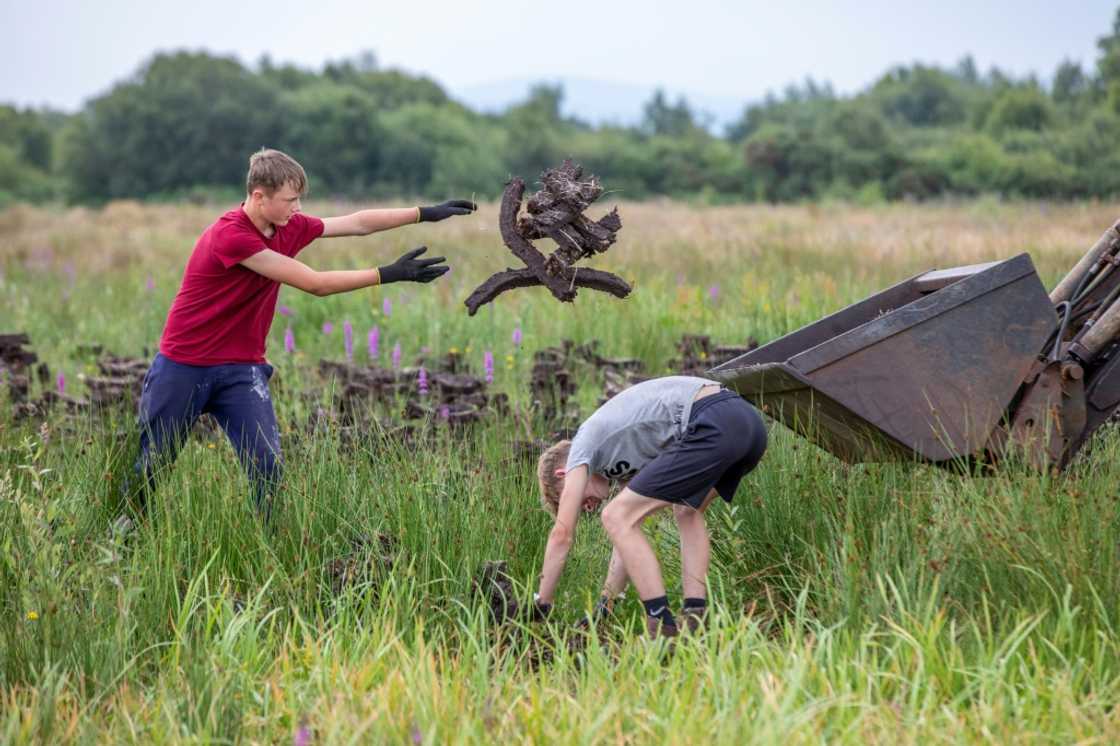 Sun-dried turf cut from bogs has been used as a cheap source of fuel in Ireland for centuries Sun-dried turf cut from bogs has been used as a cheap source of fuel in Ireland for centuries
