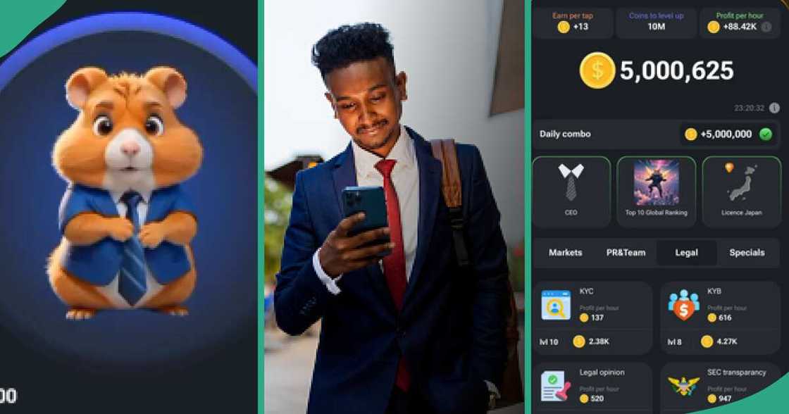 Hamster Kombat launch: 4 things to note about the trending Telegram game Nigerians are playing Hamster Kombat launch: 4 things to note about the trending Telegram game Nigerians are playing