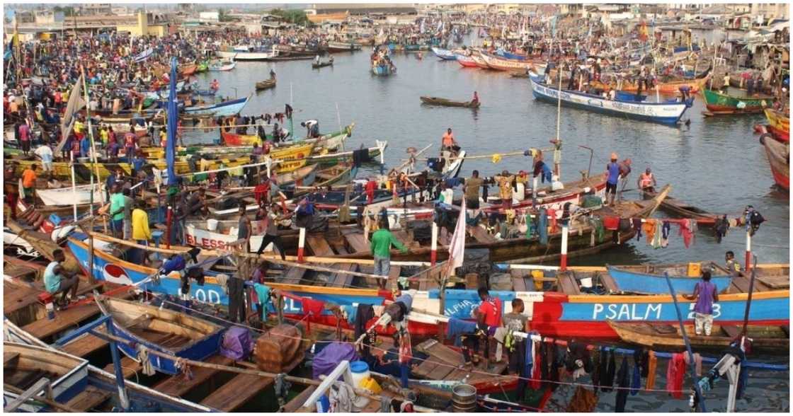 Colourful Canoes in Takoradi