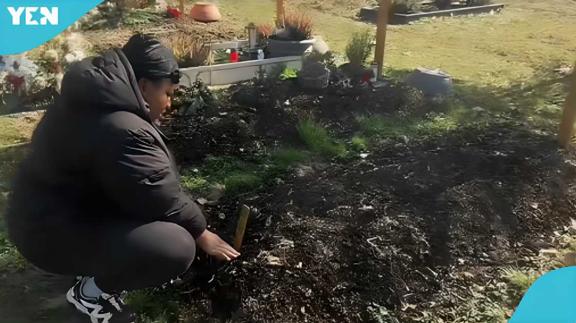 TikTok, Appiah Stadium, Frank, Becky, Dead, Blogger, Adwenpahene TikTok, Appiah Stadium, Frank, Becky, Dead, Blogger, Adwenpahene