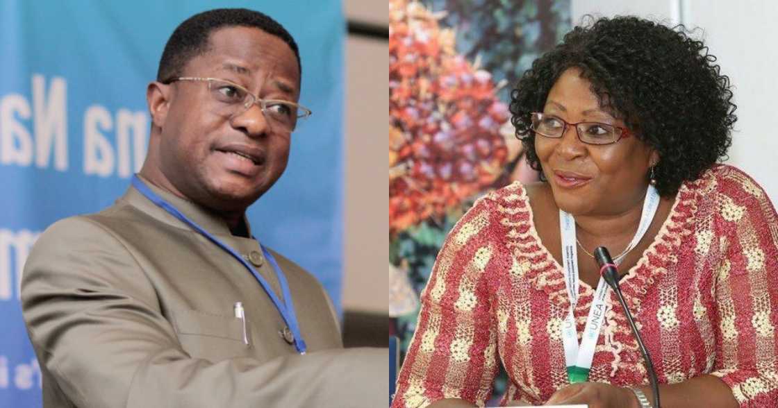 Hohoe: Defeated NDC MP Professor Margaret Kweku petitions court to annul Amewu’s victory