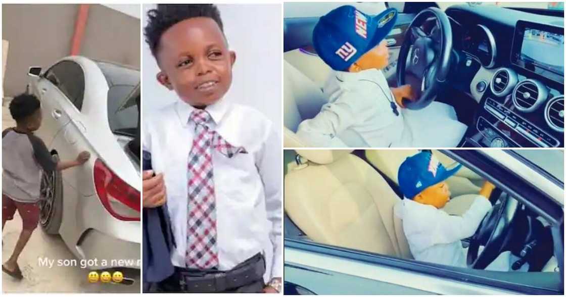 Don Little Don Little