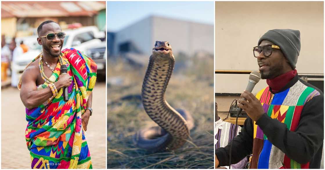 Okyeame Kwame on Snakes