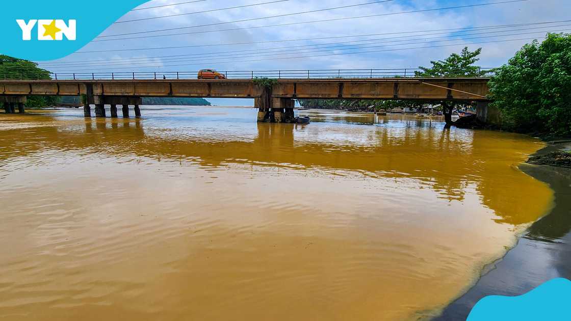 Forestry Commission, Offin Shelterbelt Forest Reserve, Galamsy, Illegal Mining Forestry Commission, Offin Shelterbelt Forest Reserve, Galamsy, Illegal Mining