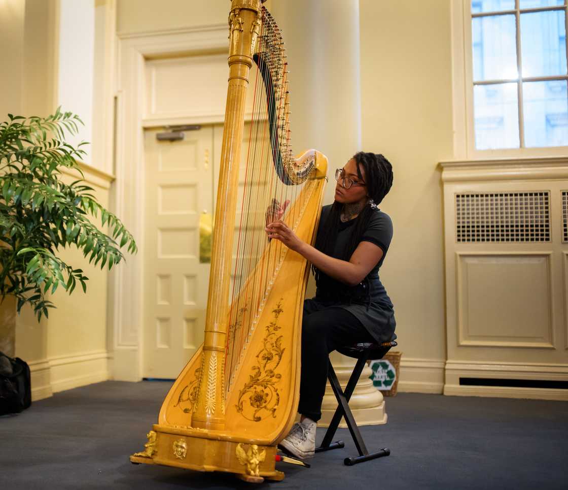 hardest instrument to play hardest instrument to play