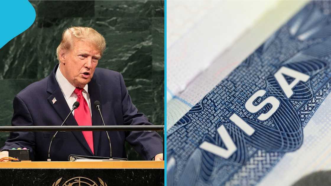 US social media screening, US visa requirements, social media visa vetting, I visa for foreign journalists, TN visa for Canadian and Mexican professionals, TD visa dependants, USMCA professional visa, State Department visa screening