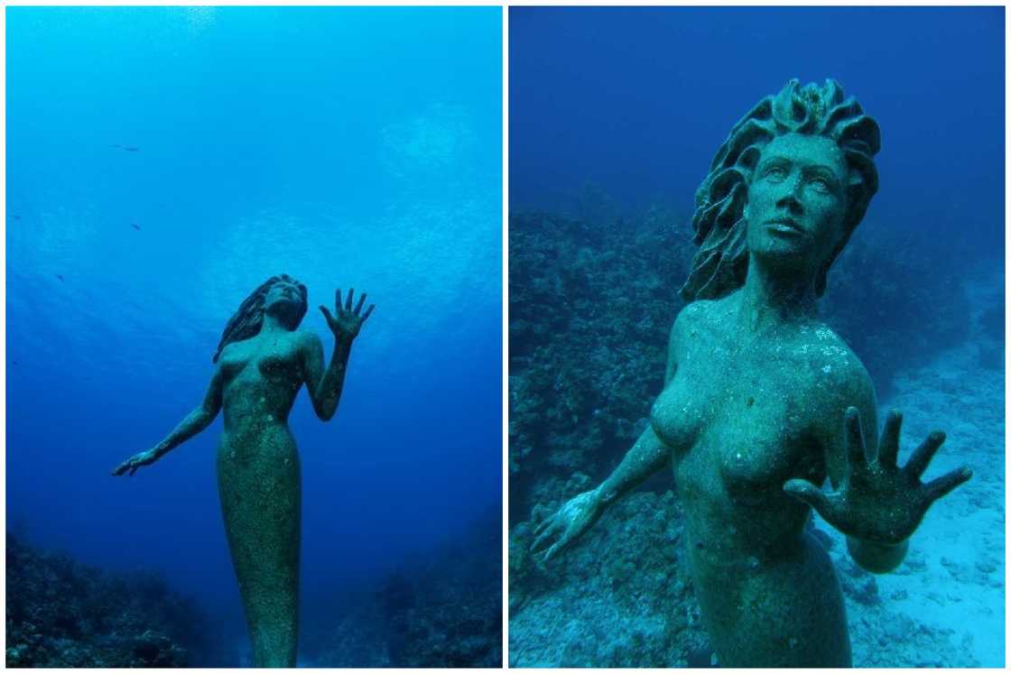 underwater statues