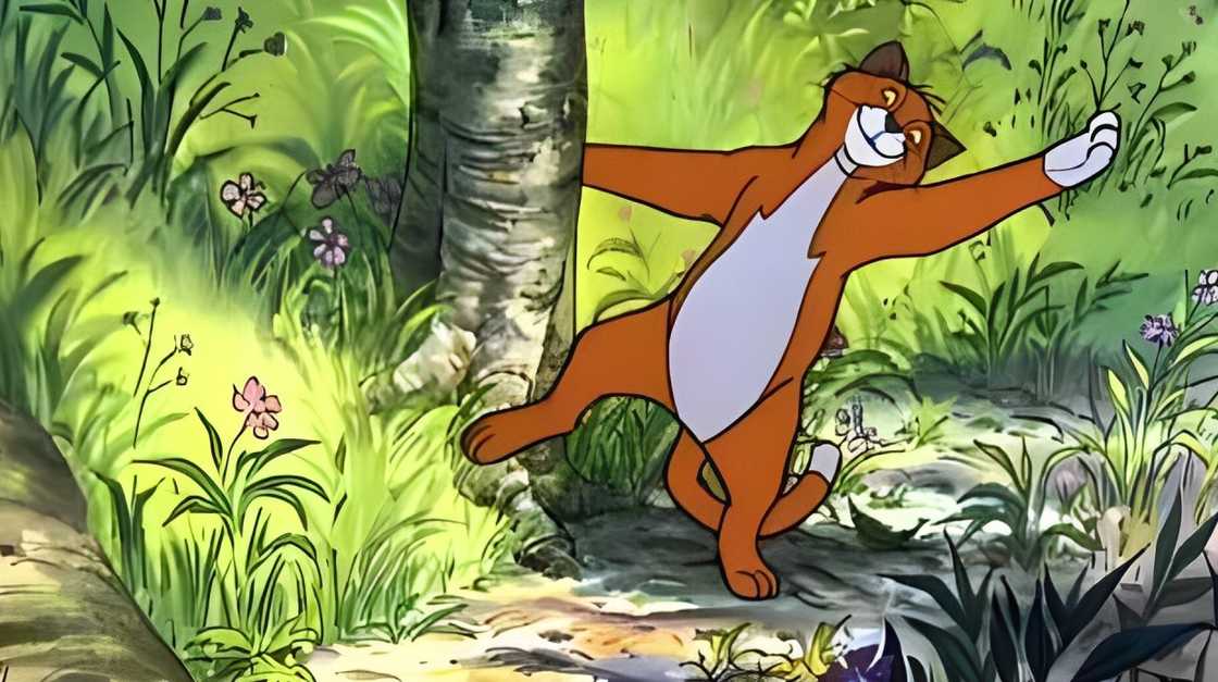 Thomas O'Malley is clinging onto a tree Thomas O'Malley is clinging onto a tree