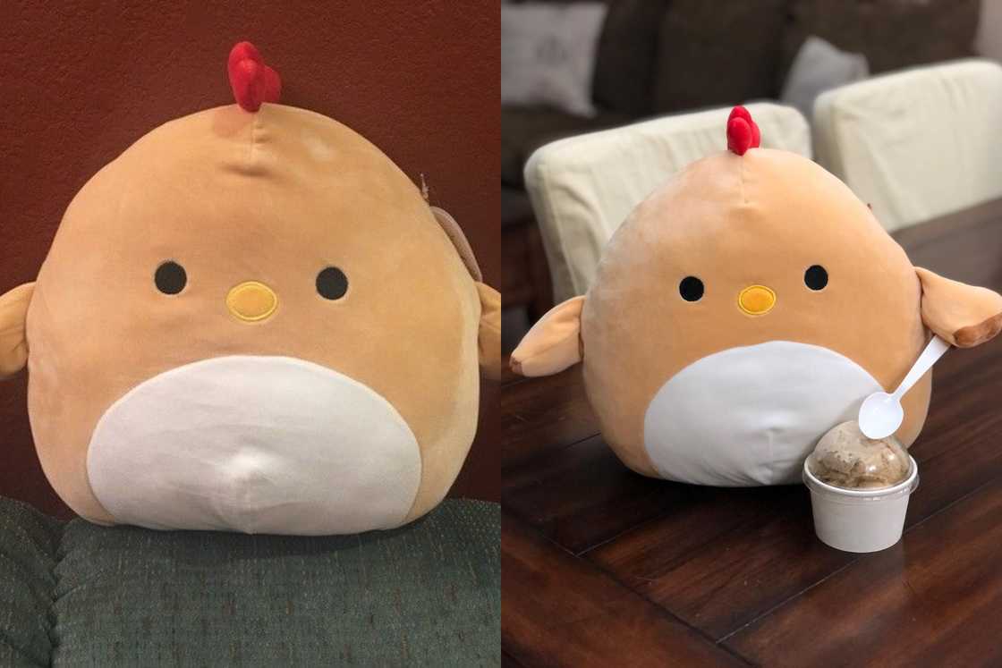 Celine the Hen is on a grey couch, and she is on a wooden table Celine the Hen is on a grey couch, and she is on a wooden table