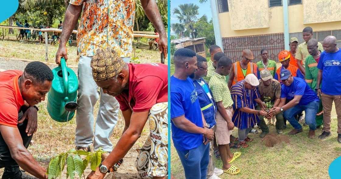 Tree planting, bushfires, Volta Region, VRCC, environmental degradation. Tree planting, bushfires, Volta Region, VRCC, environmental degradation.