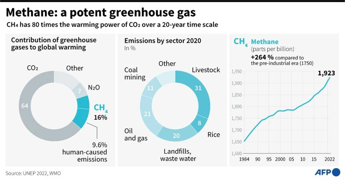 Methane: a potent greenhouse gas Methane: a potent greenhouse gas