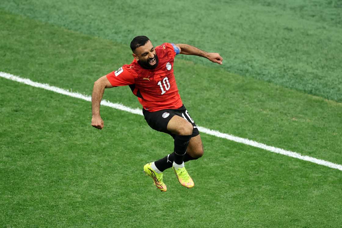 Egypt World Cup, 2026 World Cup, World Cup results, Egypt beat New Zealand, World Cup fixtures, Donald Trump World Cup ban.
