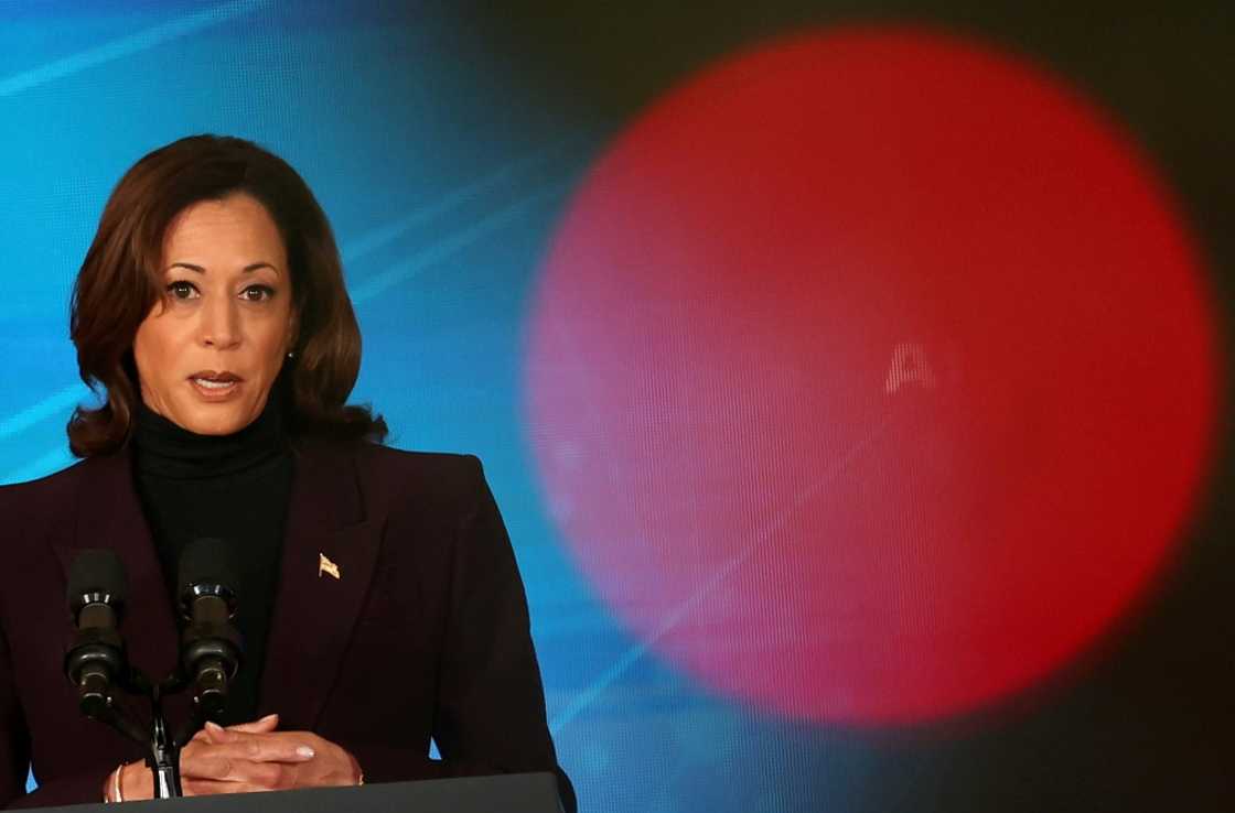 US Vice President Kamala Harris urged collaboration as AI develops US Vice President Kamala Harris urged collaboration as AI develops