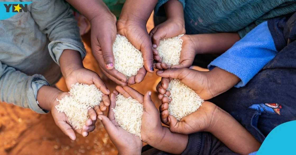 food insecurity in Ghana, Ghana Statistical Service, GSS data, World Food Day, Gender gap.