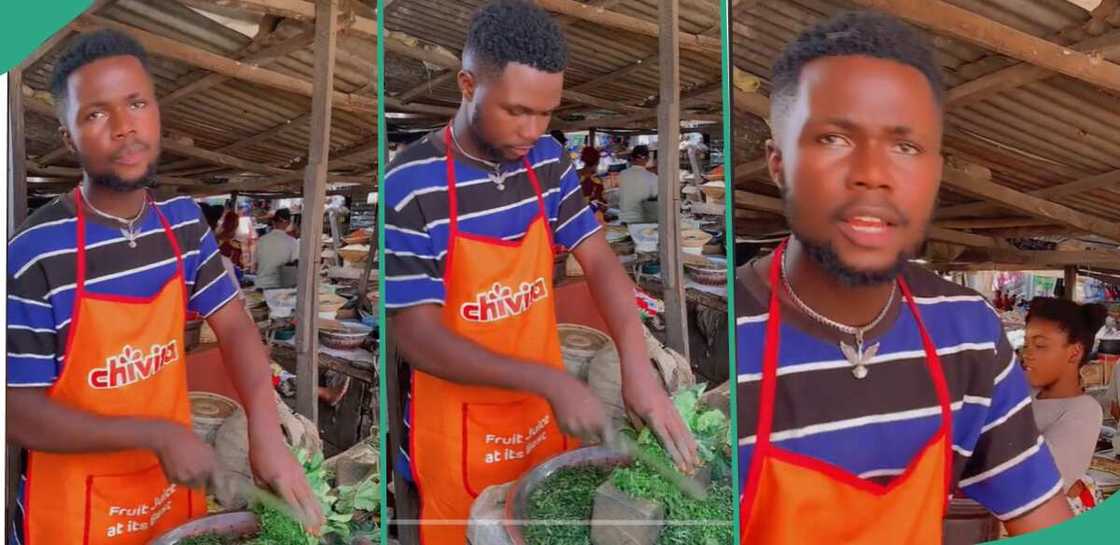 Man cutting fluted pumpkin leaves.