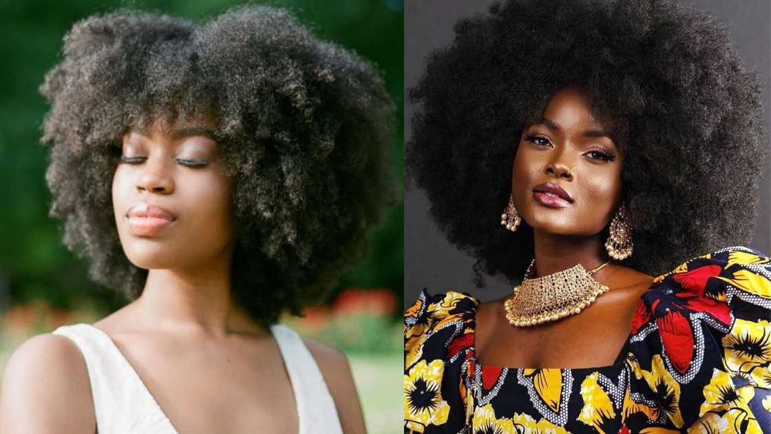 Women in woolly kinky Afro Women in woolly kinky Afro