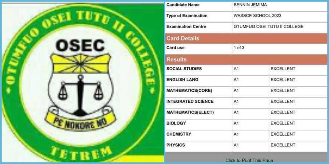 Student From Category B School Gets A Perfect Score In 2023 WASSCE