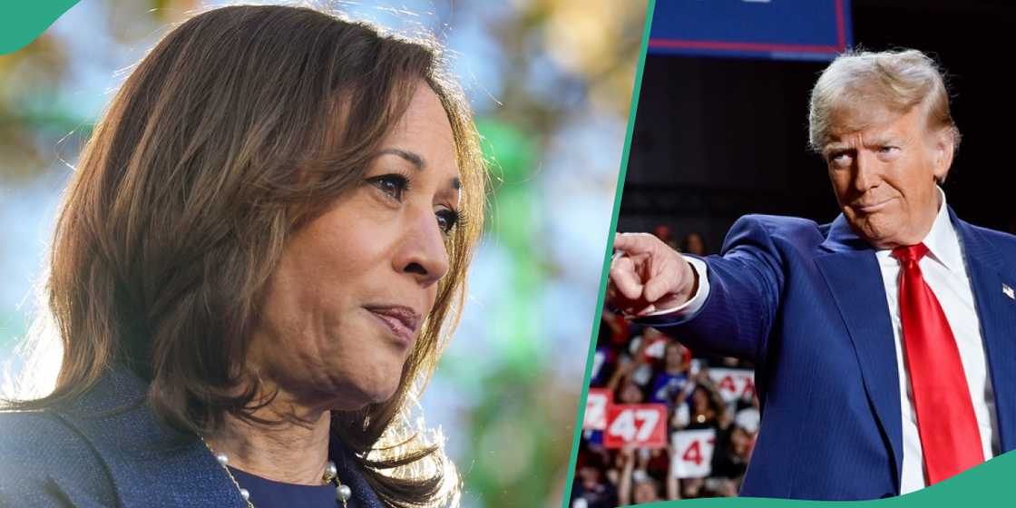 Donald Trump vs Harris: Final poll shows how candidates are fairing as voting continues in US