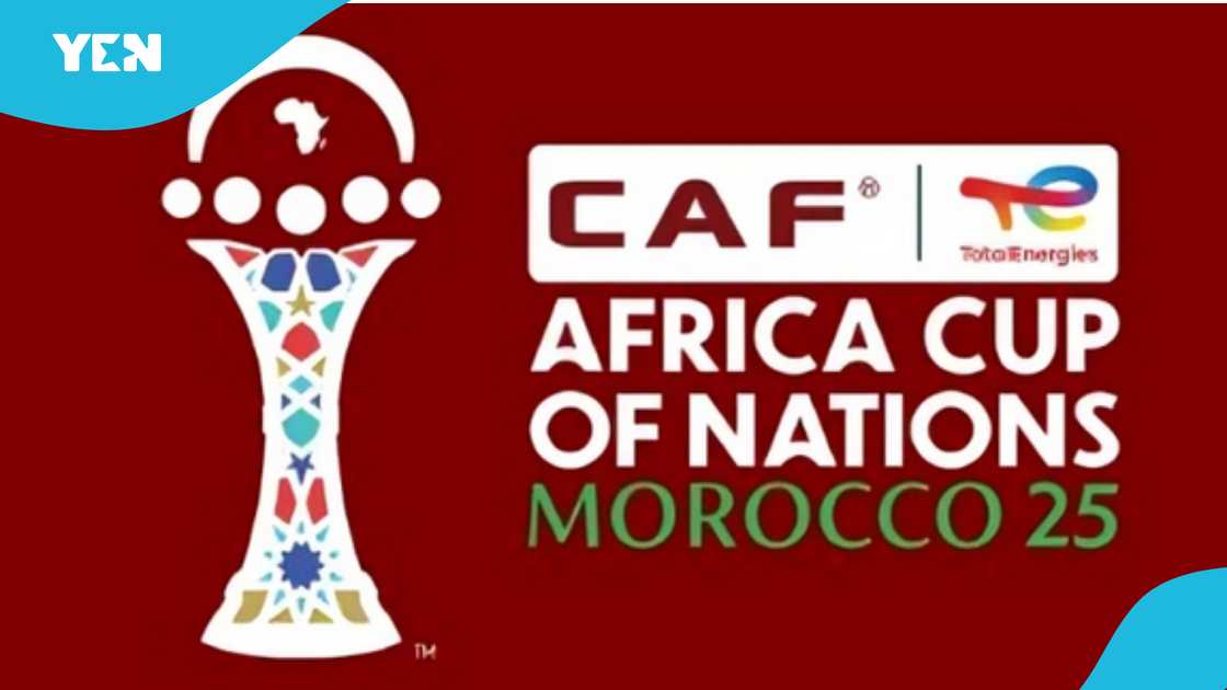 AFCON 2025, football predictions, Nimbus Pronos, South Africa vs Angola, Egypt vs Zimbabwe, cat oracle, Africa Cup of Nations, feline predictions, Mali vs Zambia. AFCON 2025, football predictions, Nimbus Pronos, South Africa vs Angola, Egypt vs Zimbabwe, cat oracle, Africa Cup of Nations, feline predictions, Mali vs Zambia.