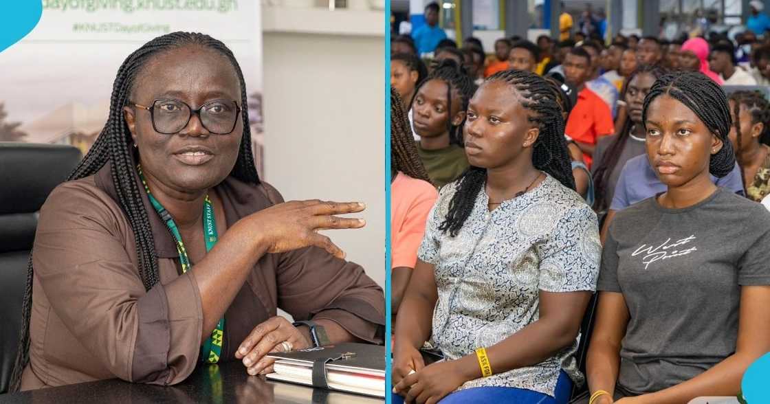Professor Rita Akosua Dickson, KNUST, innovative wheelbarrow, Kumasi, Art and Technology Professor Rita Akosua Dickson, KNUST, innovative wheelbarrow, Kumasi, Art and Technology