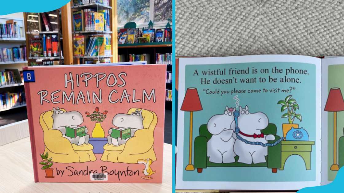 Hippos Remain Calm by Sandra Boynton Hippos Remain Calm by Sandra Boynton