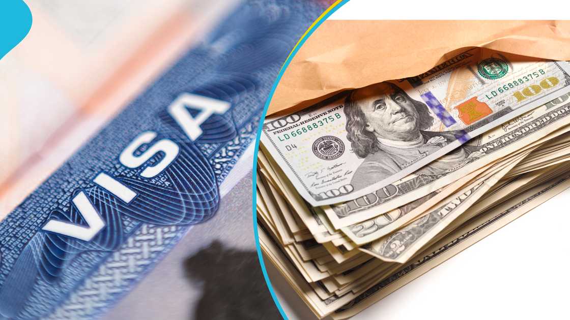 Trump administration, US Visa, visa integrity fee, Visa application, US travel, Trump
