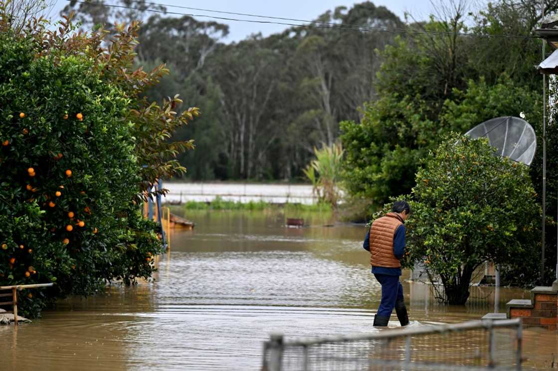 A man wades through mud-brown floodwaters outside his inundated house in western Sydney A man wades through mud-brown floodwaters outside his inundated house in western Sydney