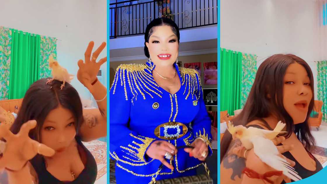 Agradaa. Agradaa's mother, Agradaa's church, Heaven Way Chapel International Ministry, Agradaa's children, Rihanna, Agradaa's wealth Agradaa. Agradaa's mother, Agradaa's church, Heaven Way Chapel International Ministry, Agradaa's children, Rihanna, Agradaa's wealth