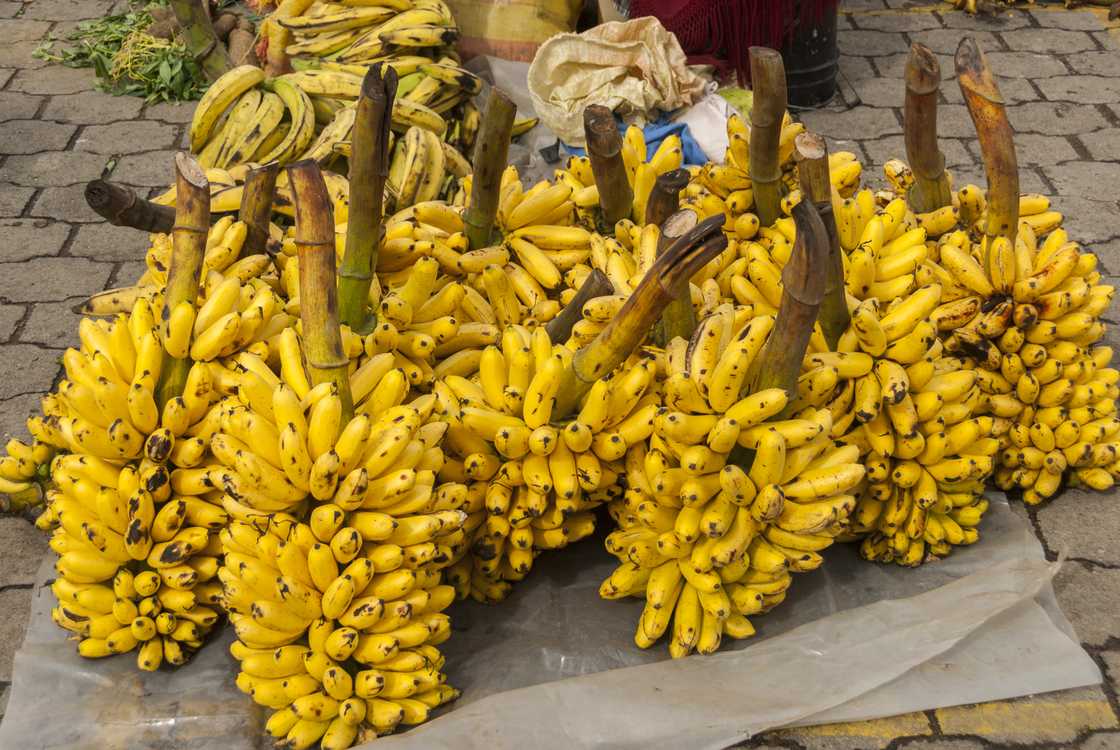 Ecuador's bananas in the market Ecuador's bananas in the market