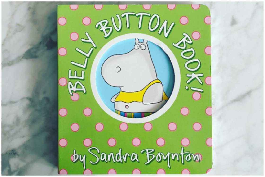 Belly Button Book by Sandra Boynton Belly Button Book by Sandra Boynton