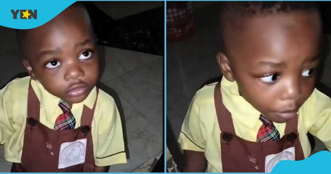 Boy confront's father Boy confront's father