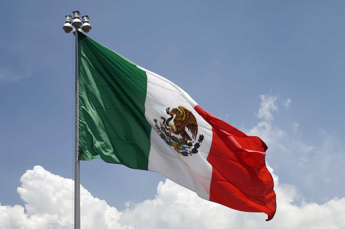 Flag of Mexico Flag of Mexico