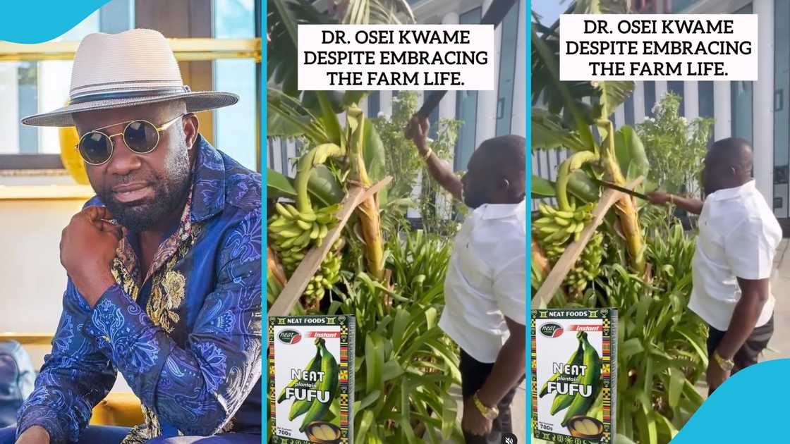 Osei Kwame Despite, social media, farming skills, plantains, viral video, Ghana, Africa, millionaire Osei Kwame Despite, social media, farming skills, plantains, viral video, Ghana, Africa, millionaire