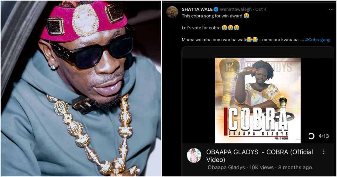 Shatta Wale is a 'cobra'