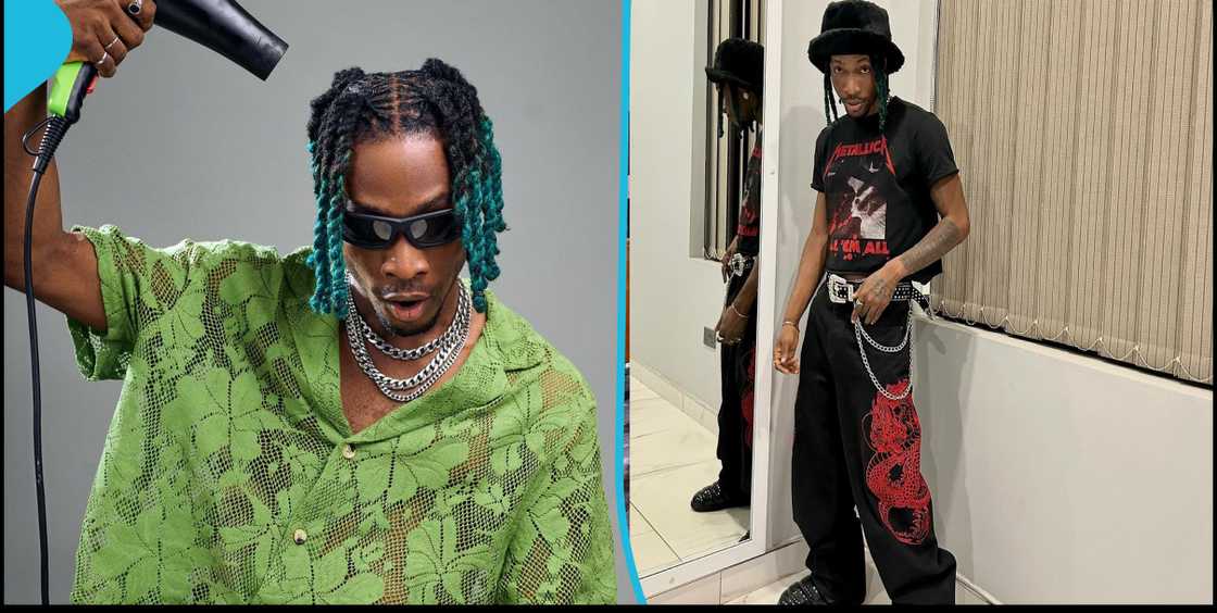 Incredible Zigi Incredible Zigi